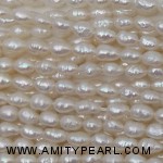 3902 rice pearl about 3.5-4mm.jpg